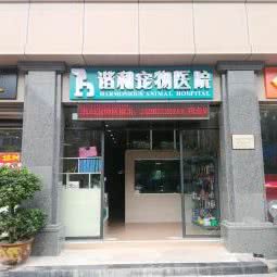 谐和宠物医院:宜宾市叙州区叙州区附近