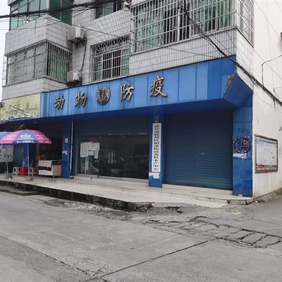 叙州区柏溪林业兽医站:宜宾市叙州区叙州区附近