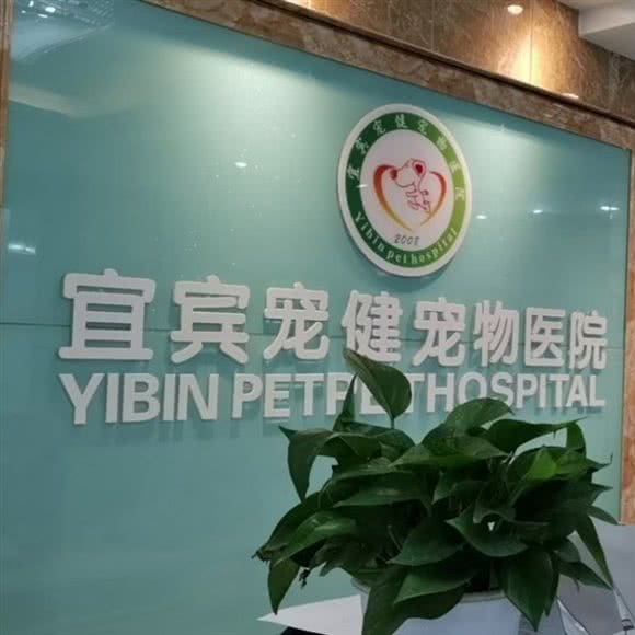 宠健宠物医院(航天路院区):宜宾市叙州区叙州区附近