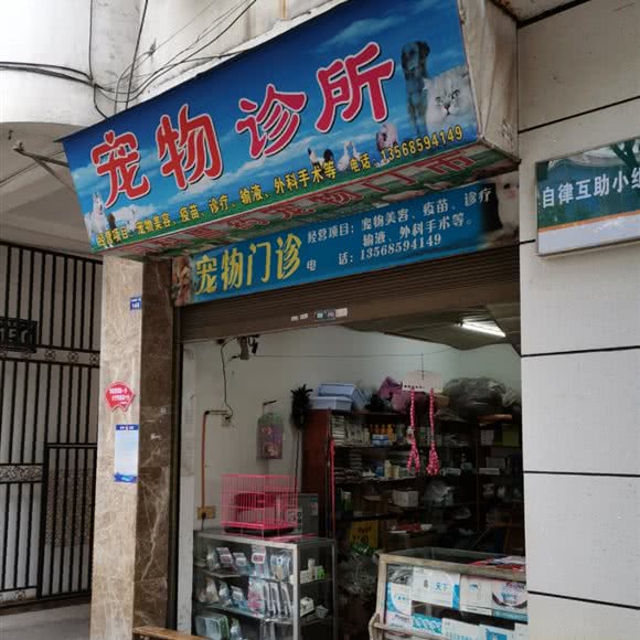 宠物门诊:宜宾市长宁县长宁镇附近