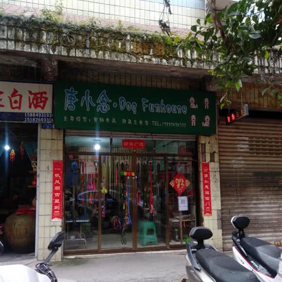 唐小念·Dog Funhouse:广安市广安区城北附近