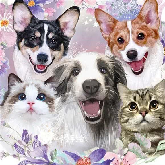 旺喵宠物:广安市广安区解放大道附近