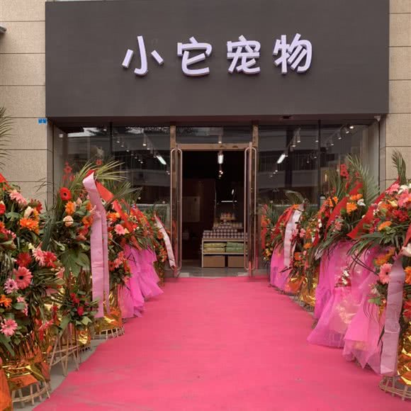 小它宠物(摩尔春天店):广安市广安区摩尔春天附近