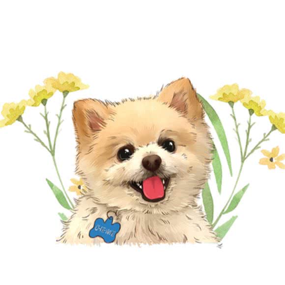 晶源动物医院:达州市通川区通州商城附近