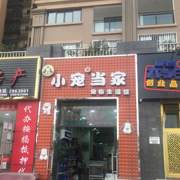小宠当家·宠物生活馆:雅安市雨城区正黄/雅职院附近