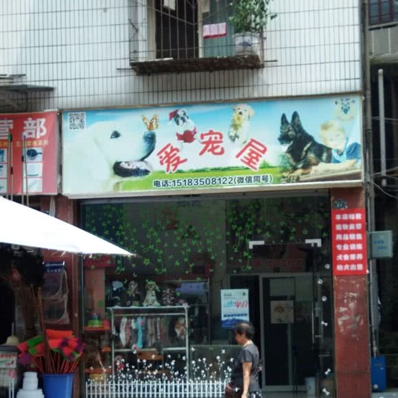 爱宠屋(建新路店):雅安市雨城区雅中附近