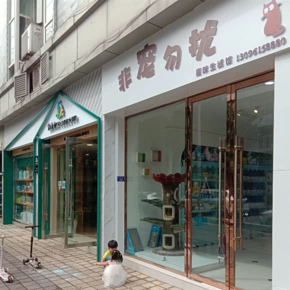 非宠勿扰·猫咪生活馆(宠物店):资阳市雁江区河埝街附近