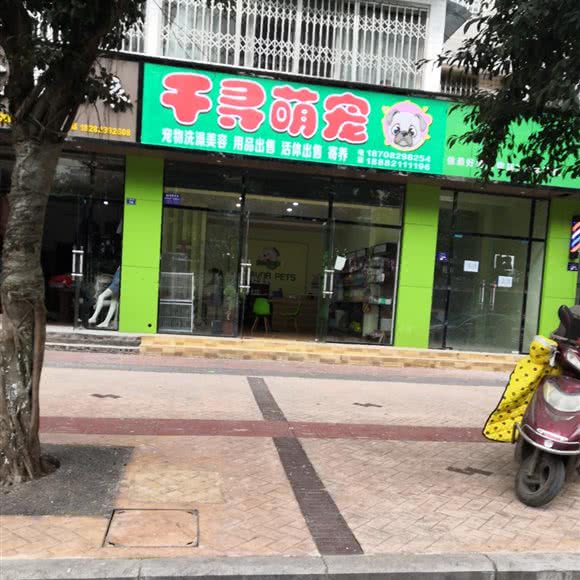 千寻萌宠:资阳市雁江区皇龙新城附近