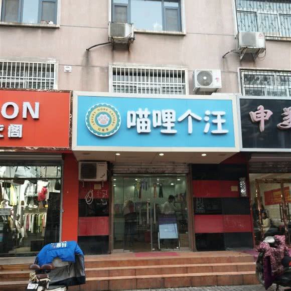 0RE喵哩个汪:石家庄市裕华区大石门附近