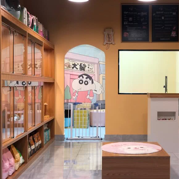 喵宠屋·购宠·宠物猫狗·精致洗护:资阳市雁江区西门桥街附近