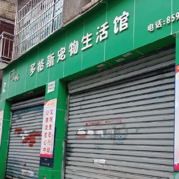 多格斯宠物生活馆:贵阳市南明区亨特City Mall附近