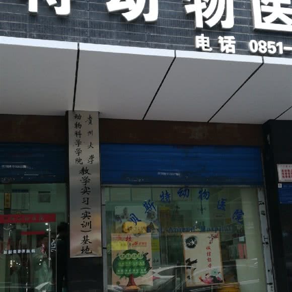 贝斯特动物医院:贵阳市南明区亨特City Mall附近