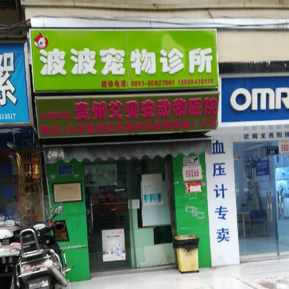 波波宠物医院:贵阳市南明区亨特City Mall附近