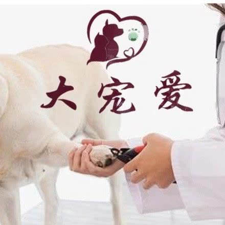 大宠爱宠物医院(花果园店):贵阳市南明区花果园附近