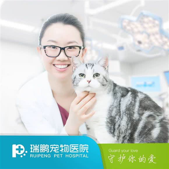 瑞鹏宠物医院(兴康宝分院):贵阳市南明区贵阳站/解放路附近