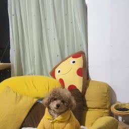 它加宠物生活馆:贵阳市南明区市南路附近