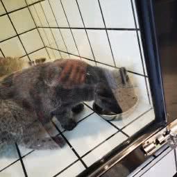 仙貝森友會 宠物连锁:贵阳市南明区亨特城市广场附近