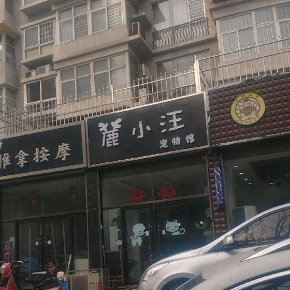鹿小汪宠物馆:石家庄市裕华区大马庄园附近