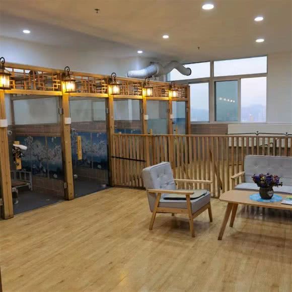 疯狂宠物寄养酒店:贵阳市南明区大南门附近
