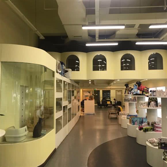 众和宠物医院:贵阳市南明区大南门附近