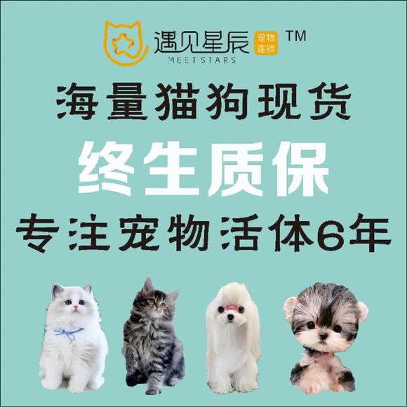 遇见星辰宠物连锁:贵阳市南明区花果园购物中心附近