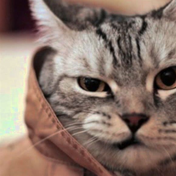 宠有家宠物洗浴领养中心(花果园店):贵阳市南明区花果园购物中心附近