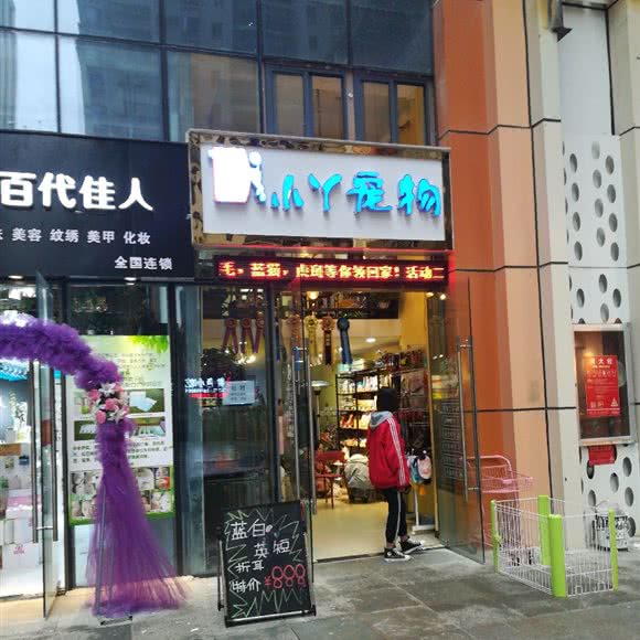 小丫狗狗:贵阳市南明区花果园兰花广场附近