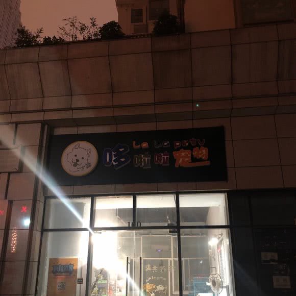 哆啦啦宠物:贵阳市南明区花果园兰花广场附近