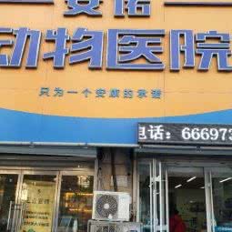 安诺动物医院:石家庄市裕华区大马庄园附近