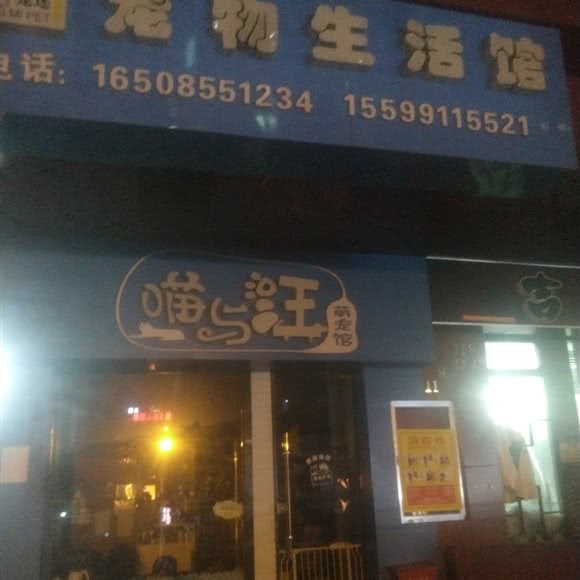 喵与汪萌宠馆:贵阳市南明区花果园兰花广场附近