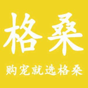 格桑高端名猫出售:贵阳市南明区花果园兰花广场附近