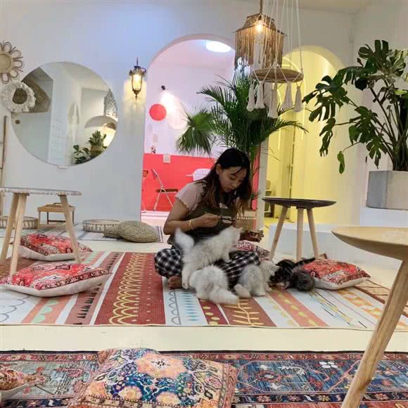 moya猫咖·奶猫馆(花果园店):贵阳市南明区花果园兰花广场附近