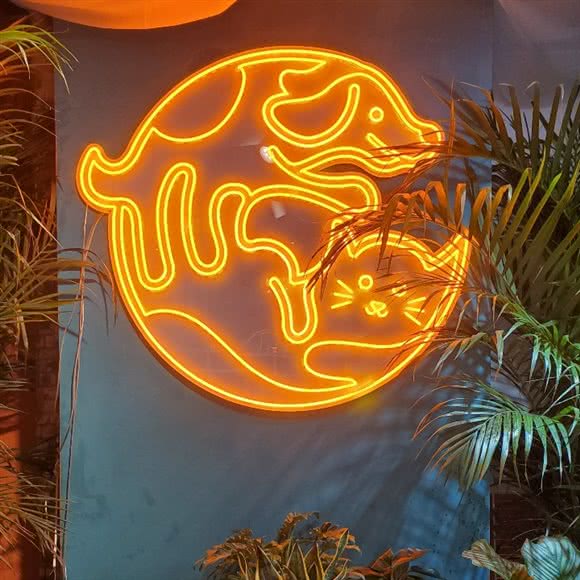 C+宠物花园:贵阳市南明区花果园国际中心附近