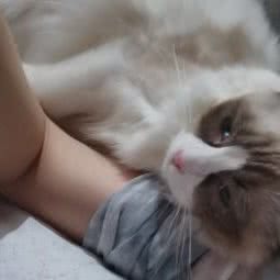 啃腚汪宠物生活馆:贵阳市云岩区喷水池附近