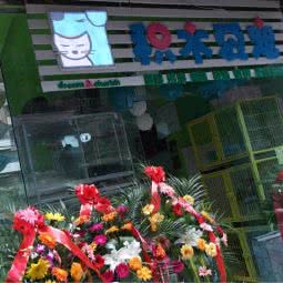 积木爱宠:贵阳市云岩区喷水池附近