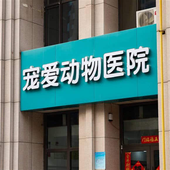 宠爱动物医院:石家庄市裕华区空中花园附近