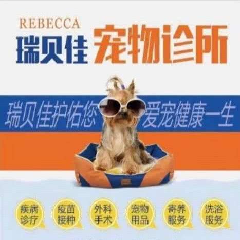 瑞贝佳宠物诊所(宅吉路店):贵阳市云岩区宅吉附近