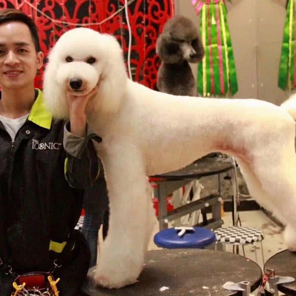 帅宠萌集星期一休息(红边门店):贵阳市云岩区红边门附近