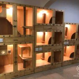 猫屿假日精选宠物寄养酒店(贵阳分店):贵阳市云岩区大营坡附近