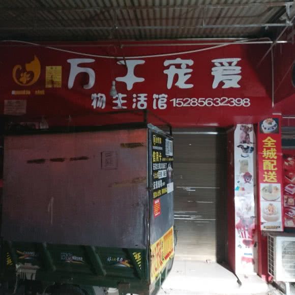 万千宠爱宠物生活馆:贵阳市云岩区大营坡附近