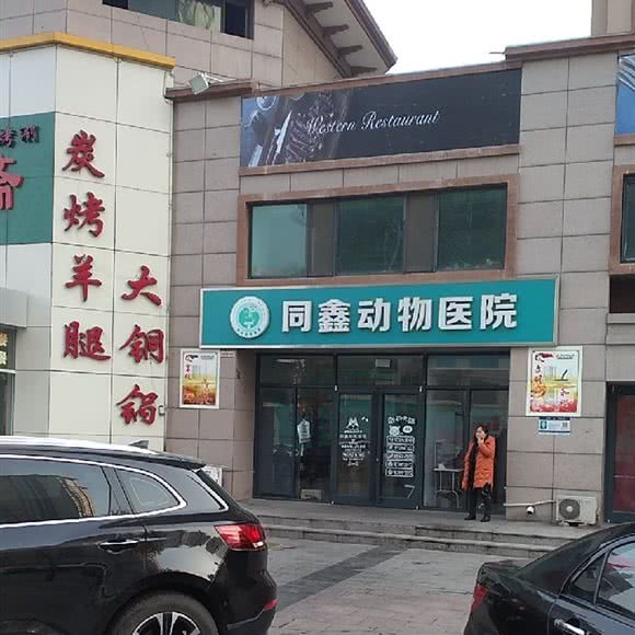 同鑫动物医院:石家庄市裕华区天山海世界附近