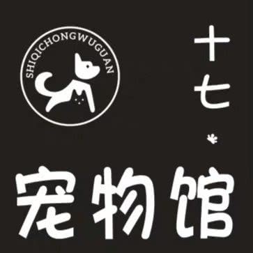 十七宠物店:贵阳市云岩区未来方舟附近