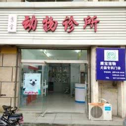 康宝动物诊所:石家庄市裕华区天山海世界附近