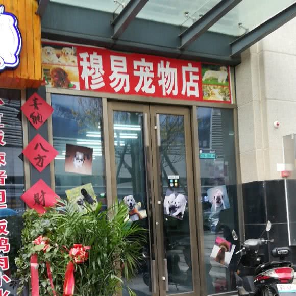 穆易宠物店:贵阳市云岩区未来方舟附近