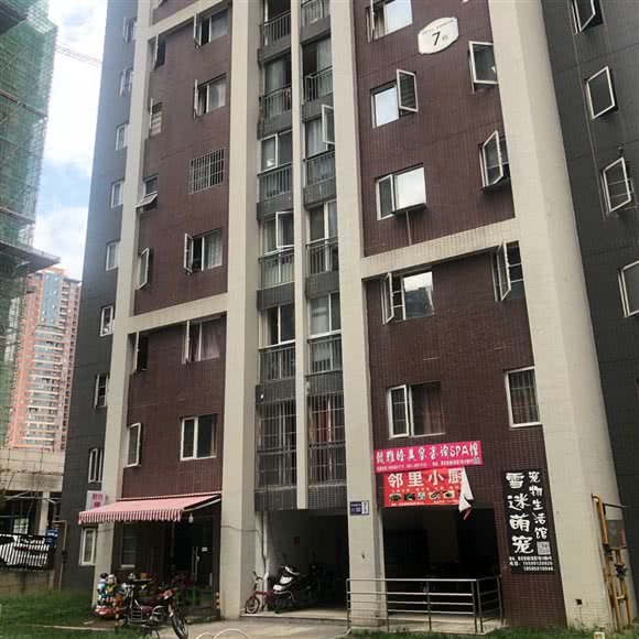 雪迷萌宠:贵阳市云岩区未来方舟附近