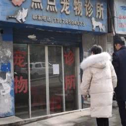 点点宠物狗诊所:贵阳市云岩区头桥附近