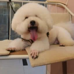 爪爪生活宠物馆:贵阳市云岩区黔灵山公园附近