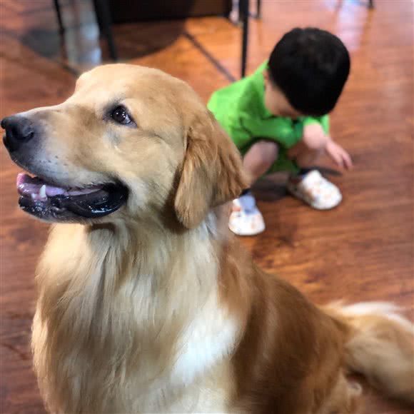 米爱宠屋(霞晖路店):贵阳市花溪区花溪公园附近