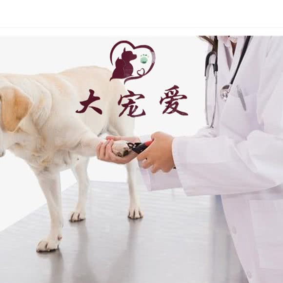 大宠爱宠物医院:贵阳市花溪区花溪公园附近