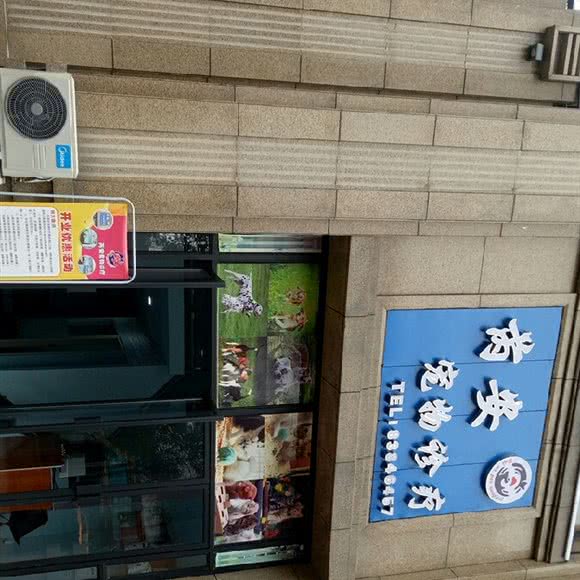 芮安宠物诊疗:贵阳市花溪区小河黔江路附近